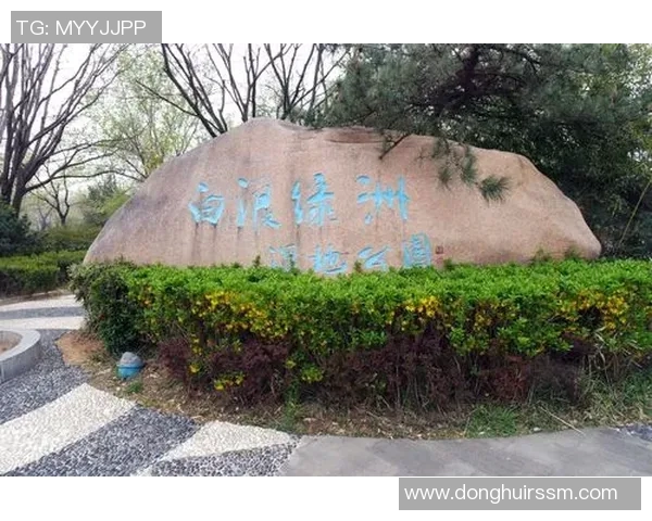 姚明与家人共享悠闲时光畅游公园感受自然之美